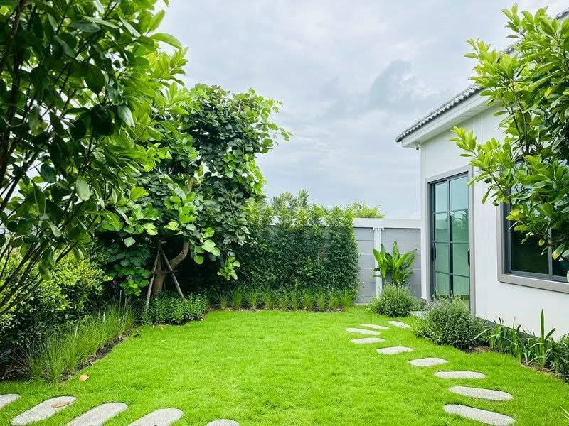 515957772_619601424536990_1553022445929740836_n