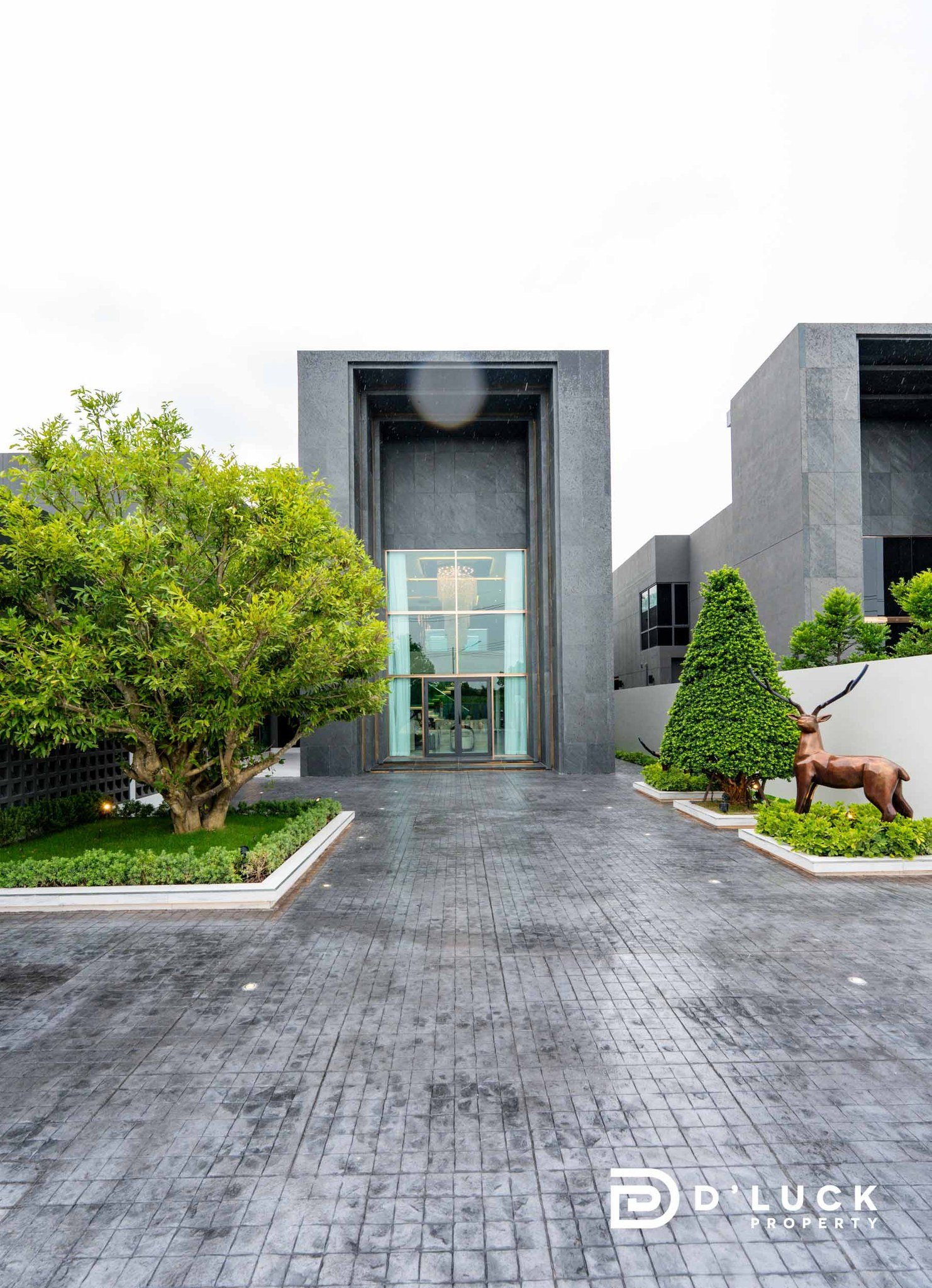 Alicera Ville 499mb 23