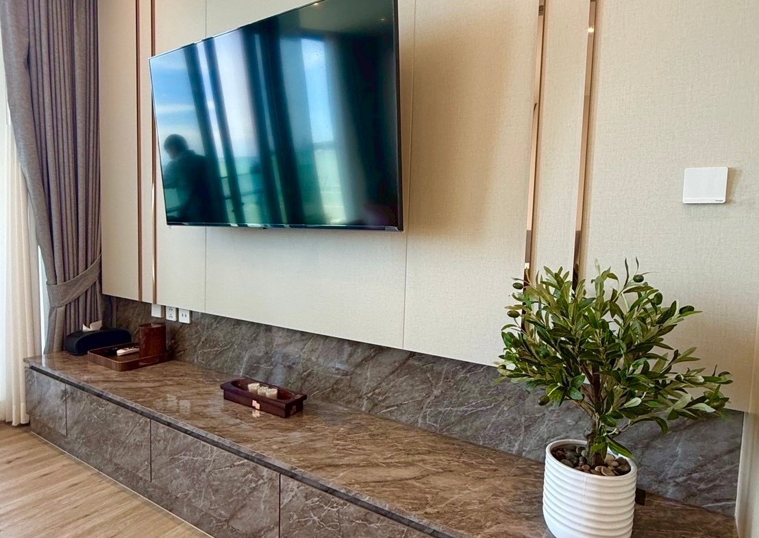 Mounted flat-screen TV above a marble media console in a modern living room. The console spans the wall and holds small decorative items, with a leafy plant in a white pot on the right.