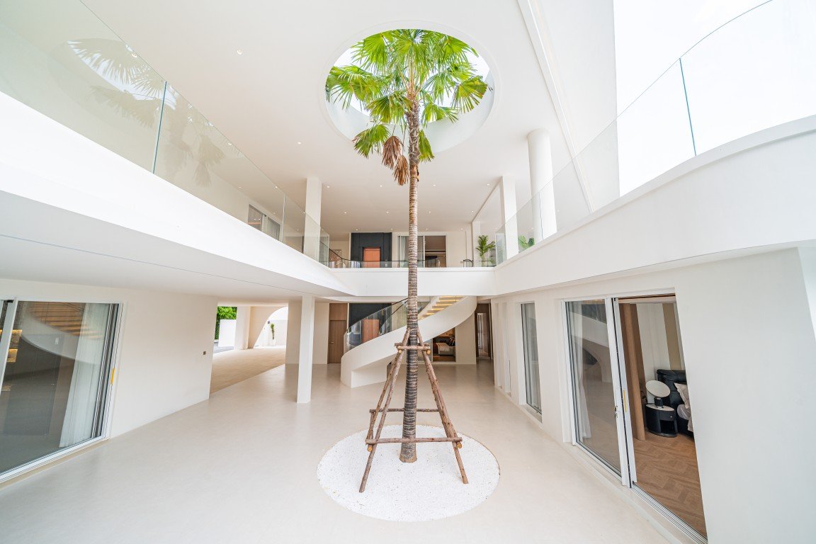 Bright open atrium with a tall palm tree planted in a circular white gravel bed, surrounded by white walls and glass railings.