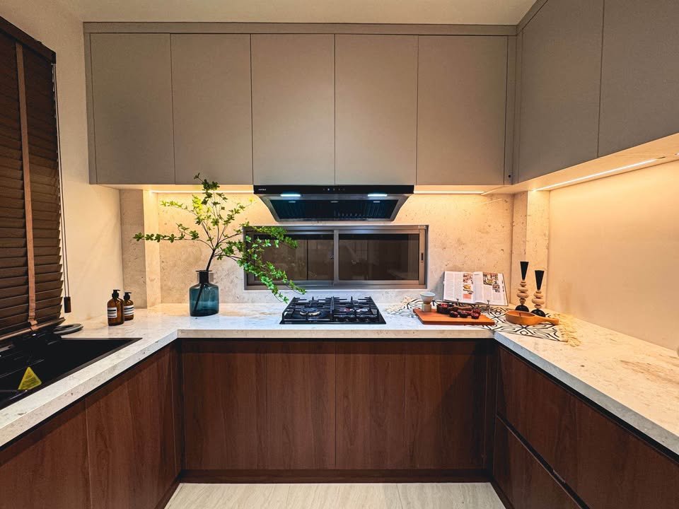 Dlh308 Horizon Patta 10