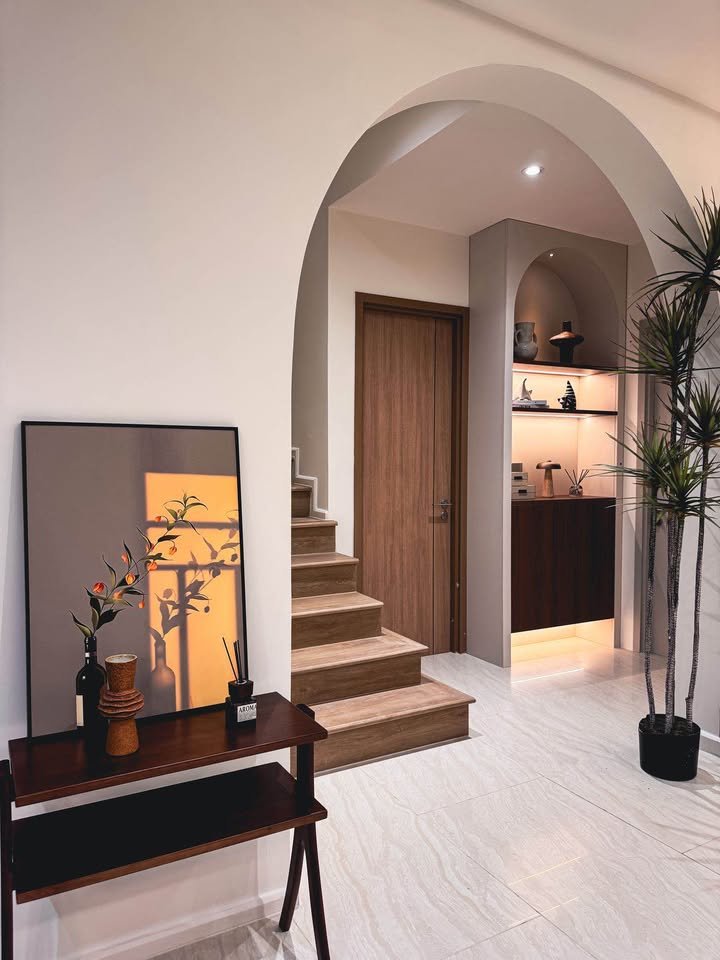 Dlh308 Horizon Patta 19