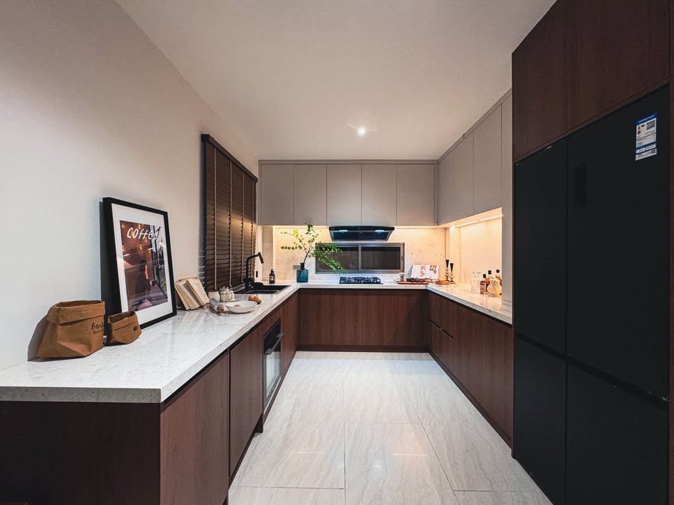 Dlh308 Horizon Patta 2