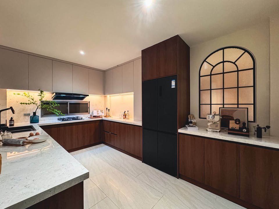 Dlh308 Horizon Patta 8