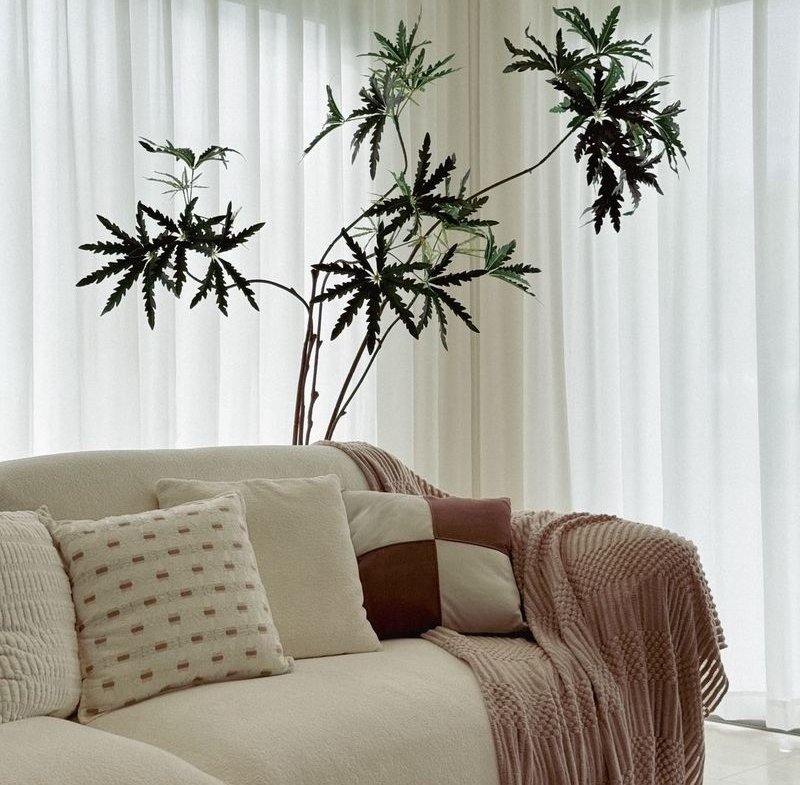 Living room scene with a light beige sofa, patterned cushions, and a pink knitted throw, next to a tall leafy plant by sheer white curtains.