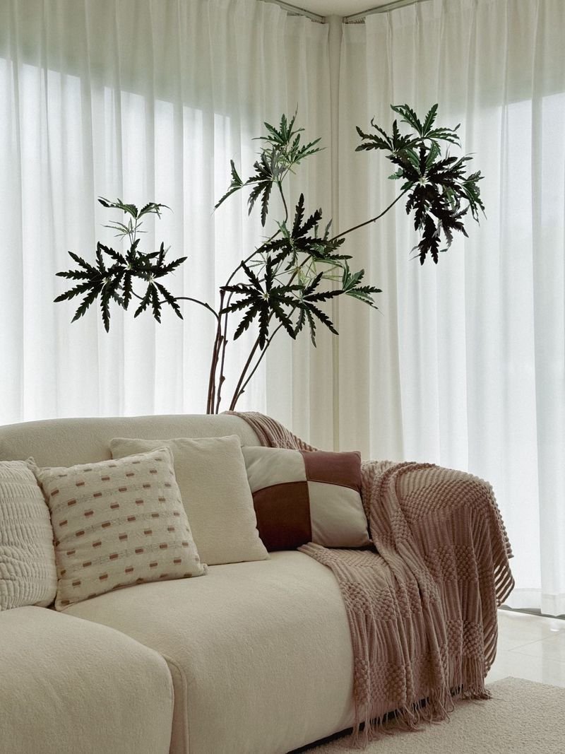 Horizon_By_Patta_10-5mb_Dlh537_10 Living room scene with a light beige sofa, patterned cushions, and a pink knitted throw, next to a tall leafy plant by sheer white curtains.