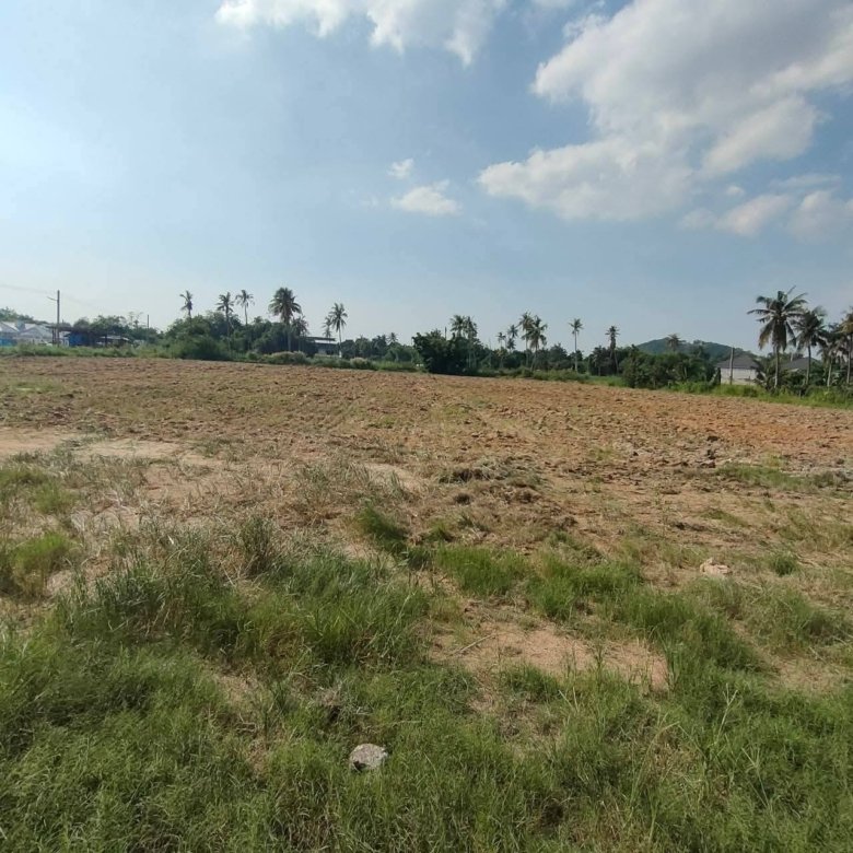 Land in toongklomtalman 20 5