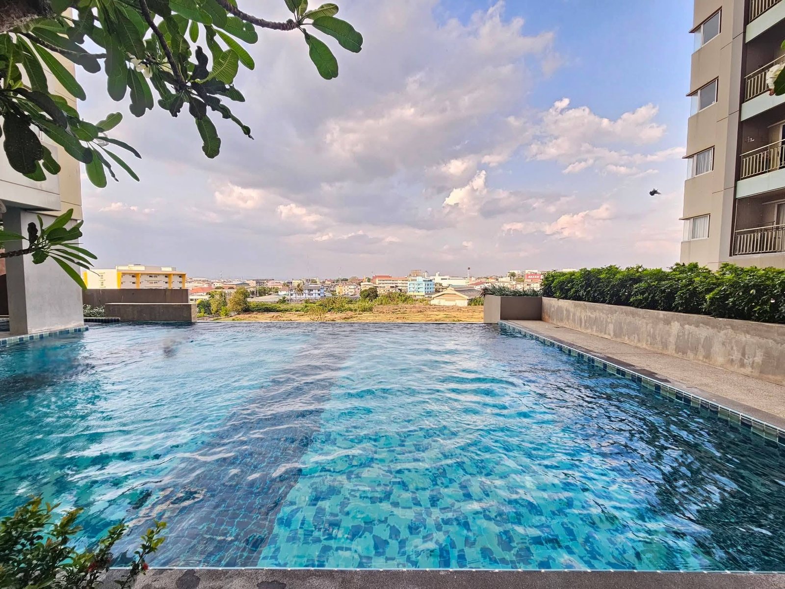 Lumpini_Condo_Town_North_Pattaya_Sukhumvit 2 Pool edged by modern buildings, blue-tiled water, and a leafy foreground branch with a distant city skyline under a partly cloudy sky.