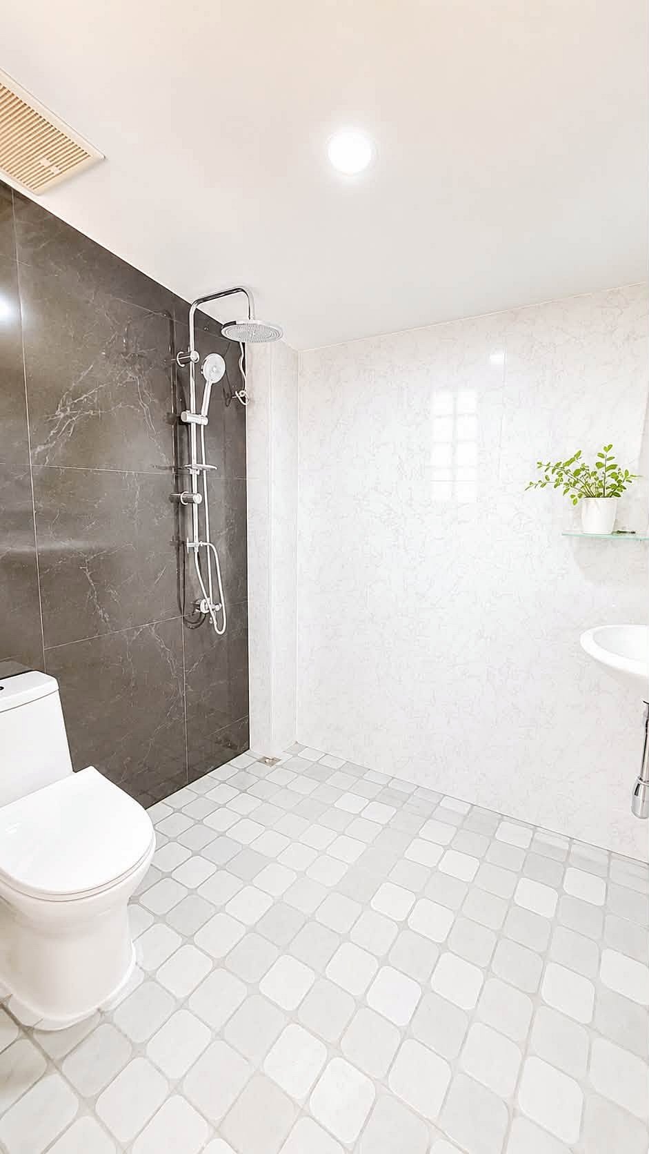 Pattaya_Rungruang_Sale_Dlh579_7 Modern bathroom with a glassless shower panel on a dark marble wall, white toilet, and a small plant on a shelf.