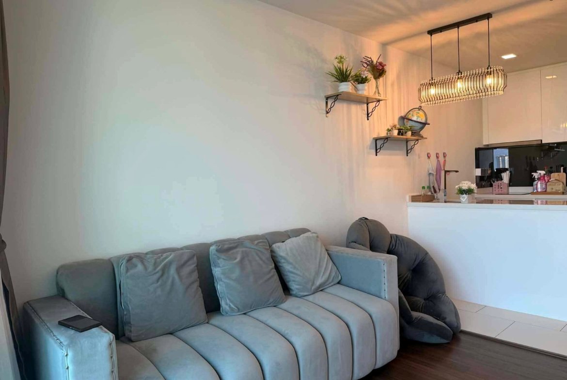 Light gray sectional sofa in a bright living area with wall shelves holding plants and a globe, and a metal cage pendant light overhead in the kitchen.