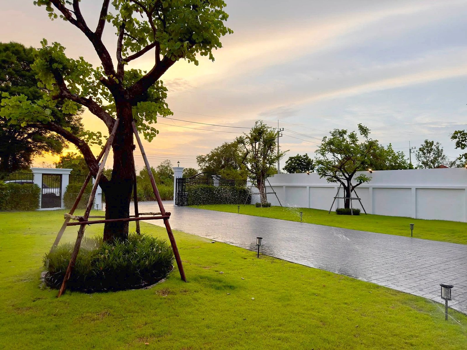Poolvilla_Soi_Siam_Pattaya_Dlh584_30 Tree with wooden supports stands beside a paved area and white boundary wall at sunset; green lawn in foreground.