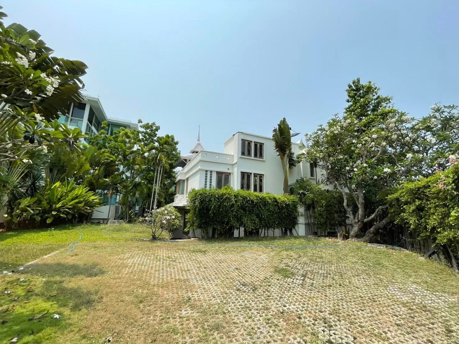 White two-story house with many windows, framed by lush tropical plants and a hedge under a clear blue sky.