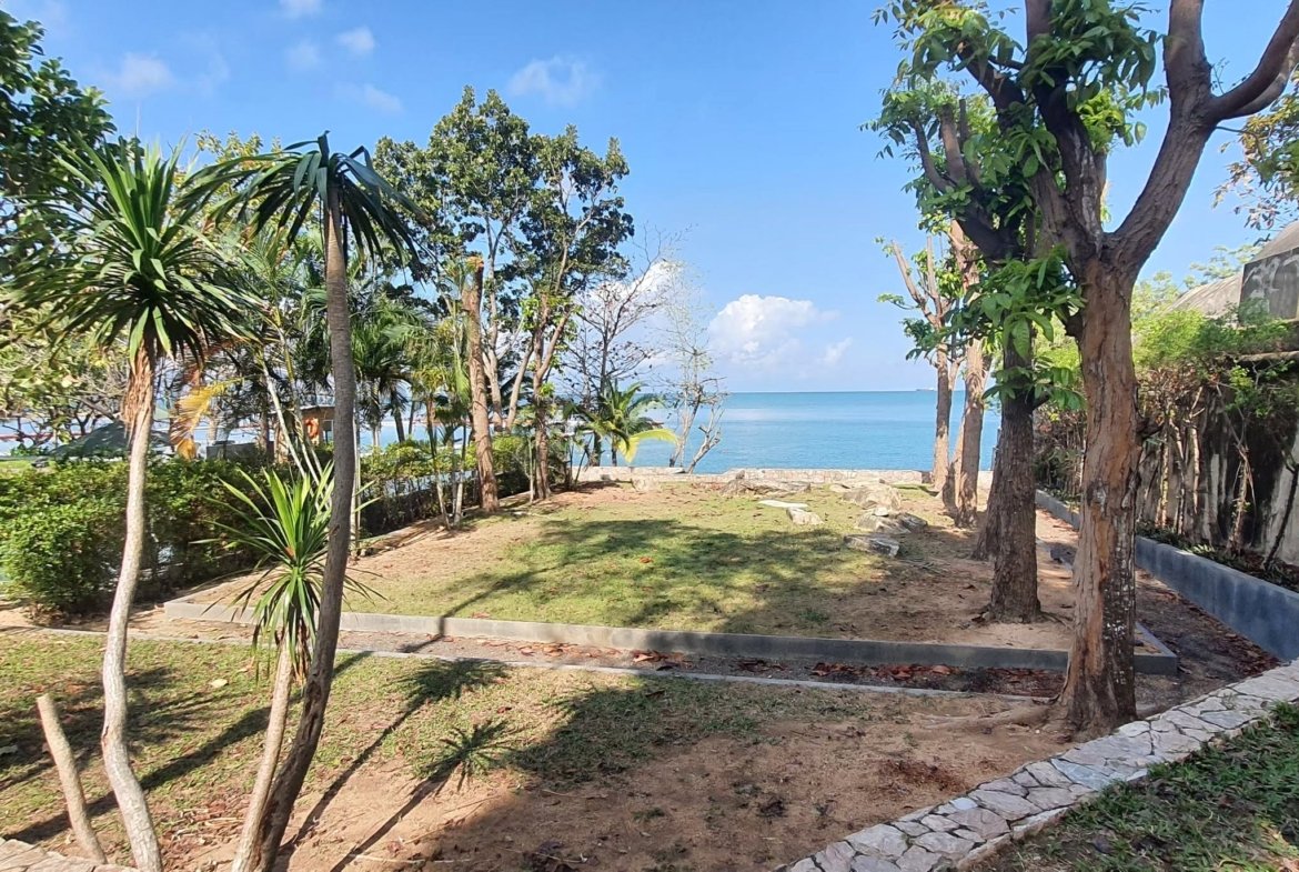Sunny coastal garden with palm trees and a stone path leading to the sea, blue ocean visible in the distance.