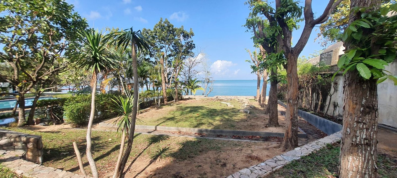Sunny coastal garden with palm trees and a stone path leading to the sea, blue ocean visible in the distance.