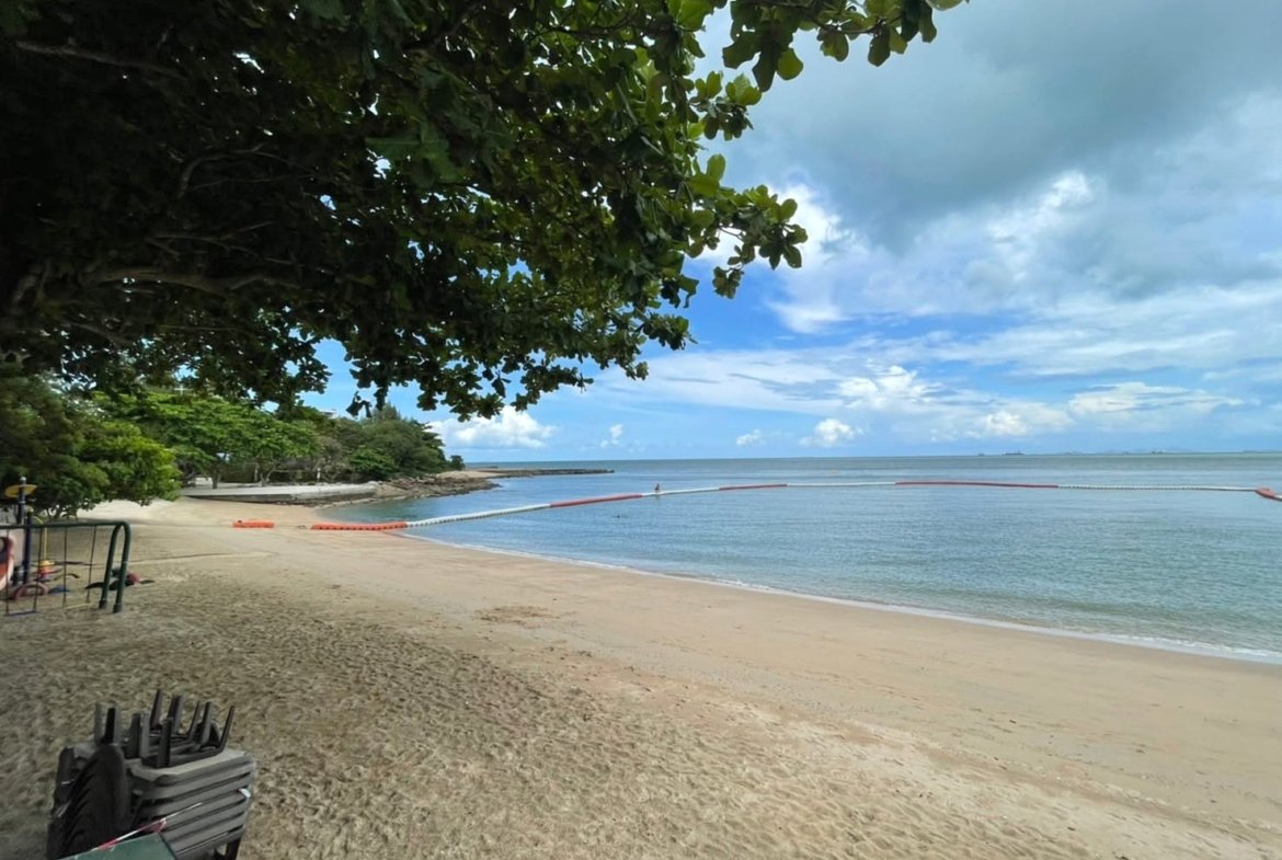 Beach scene with a large overhanging tree on the left, sandy shore, calm blue water, and a floating barrier extending into the sea under a partly cloudy sky.