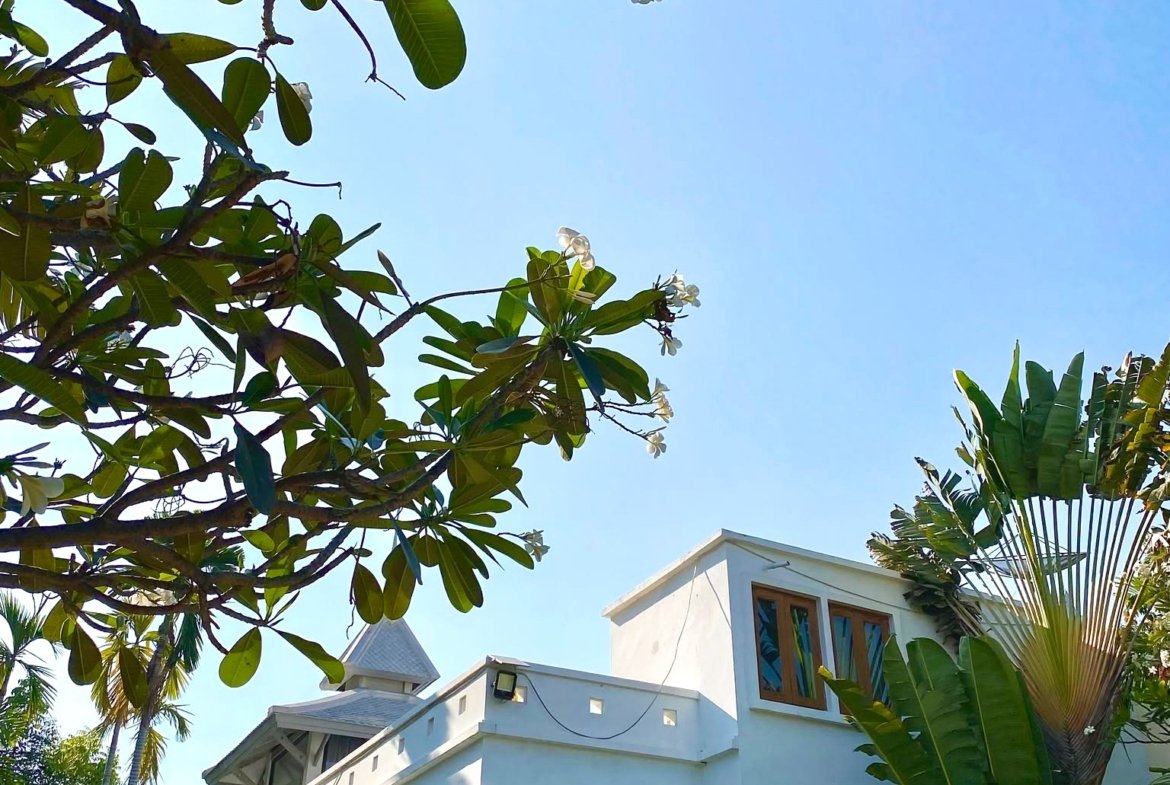 White multi-story house with large wooden-framed windows, bordered by tropical plants and a manicured hedge, against a clear blue sky with palm fronds in the foreground.