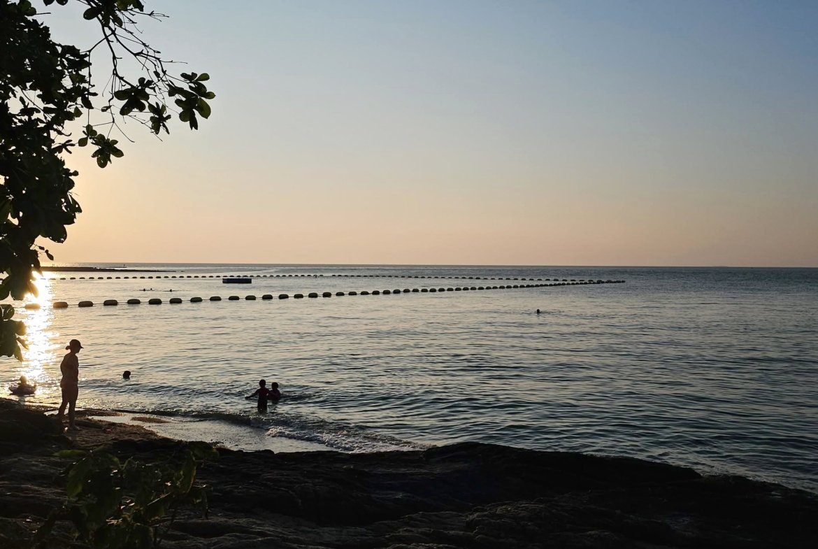 Sunset beach scene with a silhouetted tree on the left, calm water, and people swimming near shore as sun reflects off the sea.